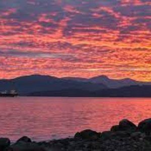 Meet your Posher, Viv